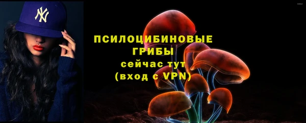 герыч Алзамай