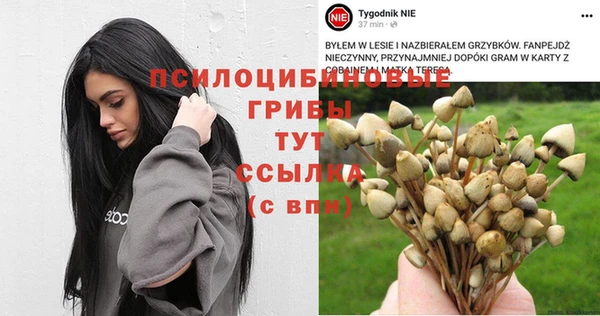 герыч Алзамай
