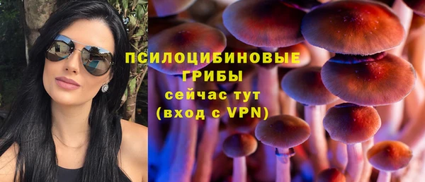 герыч Алзамай