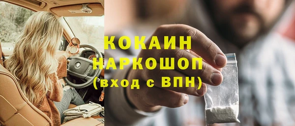 соль ск Алексин